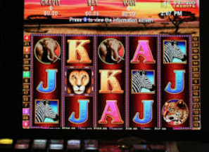 彩神vll购彩2024最新版